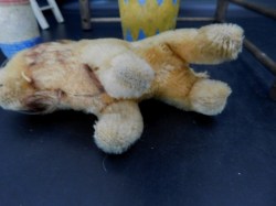 steiff lion mini under